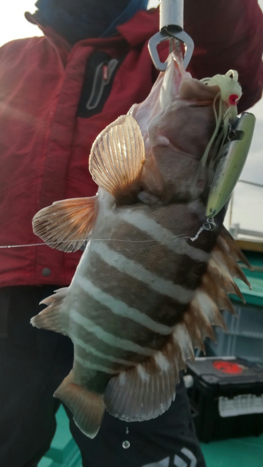 HORIZON_0002_BURST20231206094335993