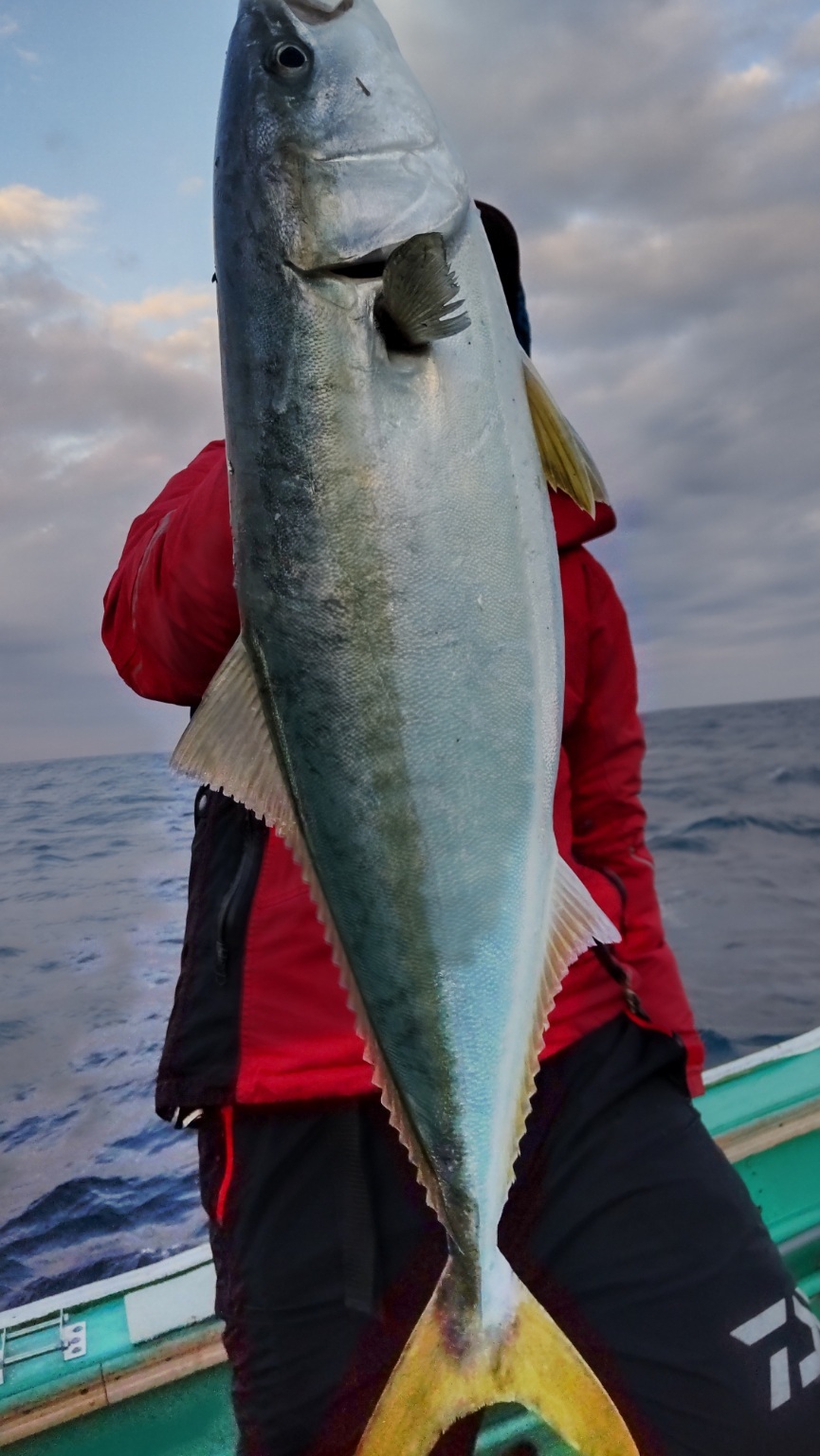 HORIZON_0001_BURST20231214074124145_COVER