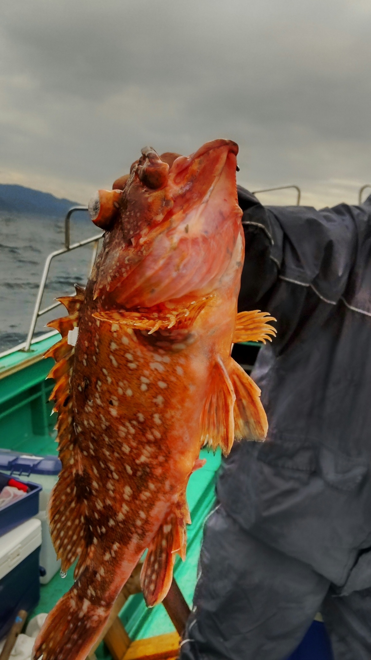 HORIZON_0002_BURST20231224103429160