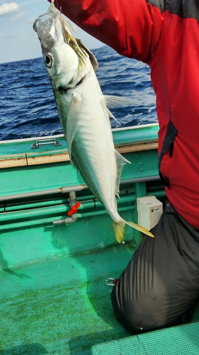 HORIZON_0002_BURST20240127113425863