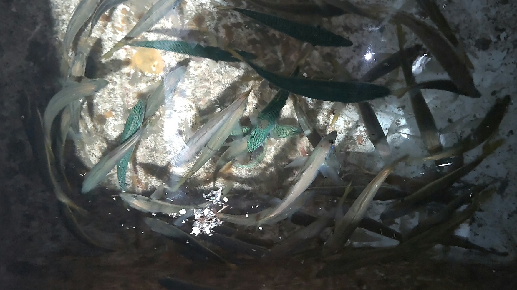 CENTER_0002_BURST20240130233056175