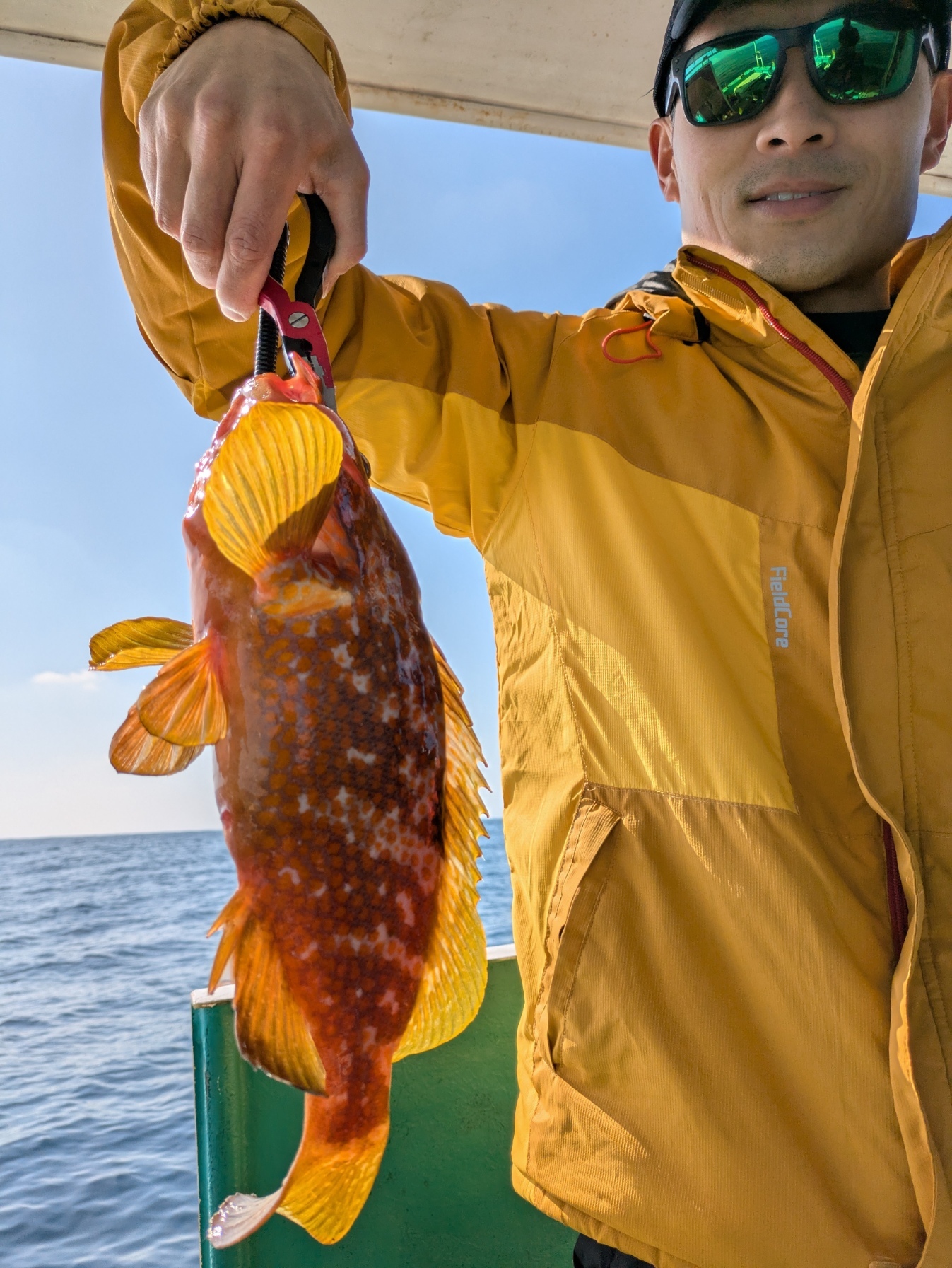 PXL_20250211_045038118.MP