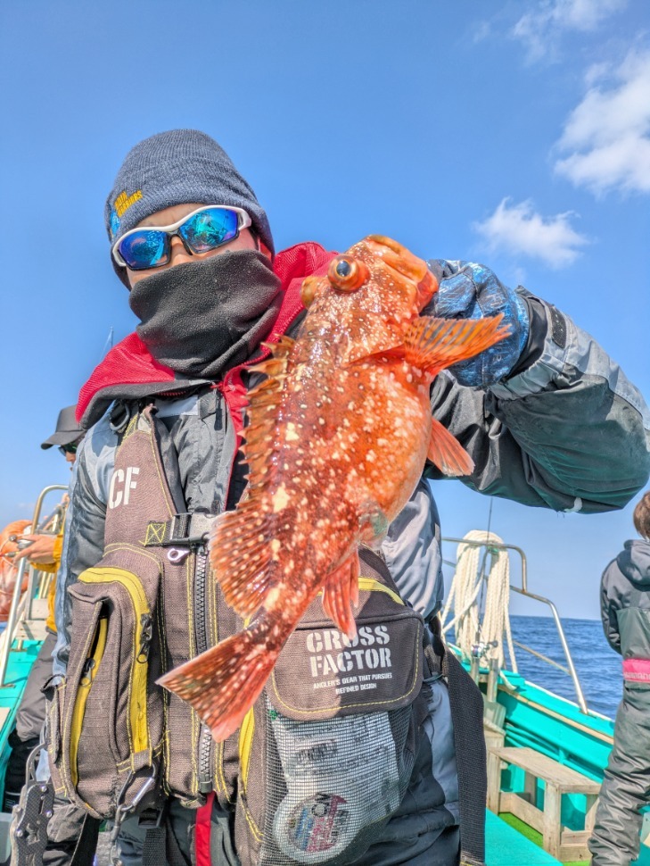 PXL_20250211_032644688