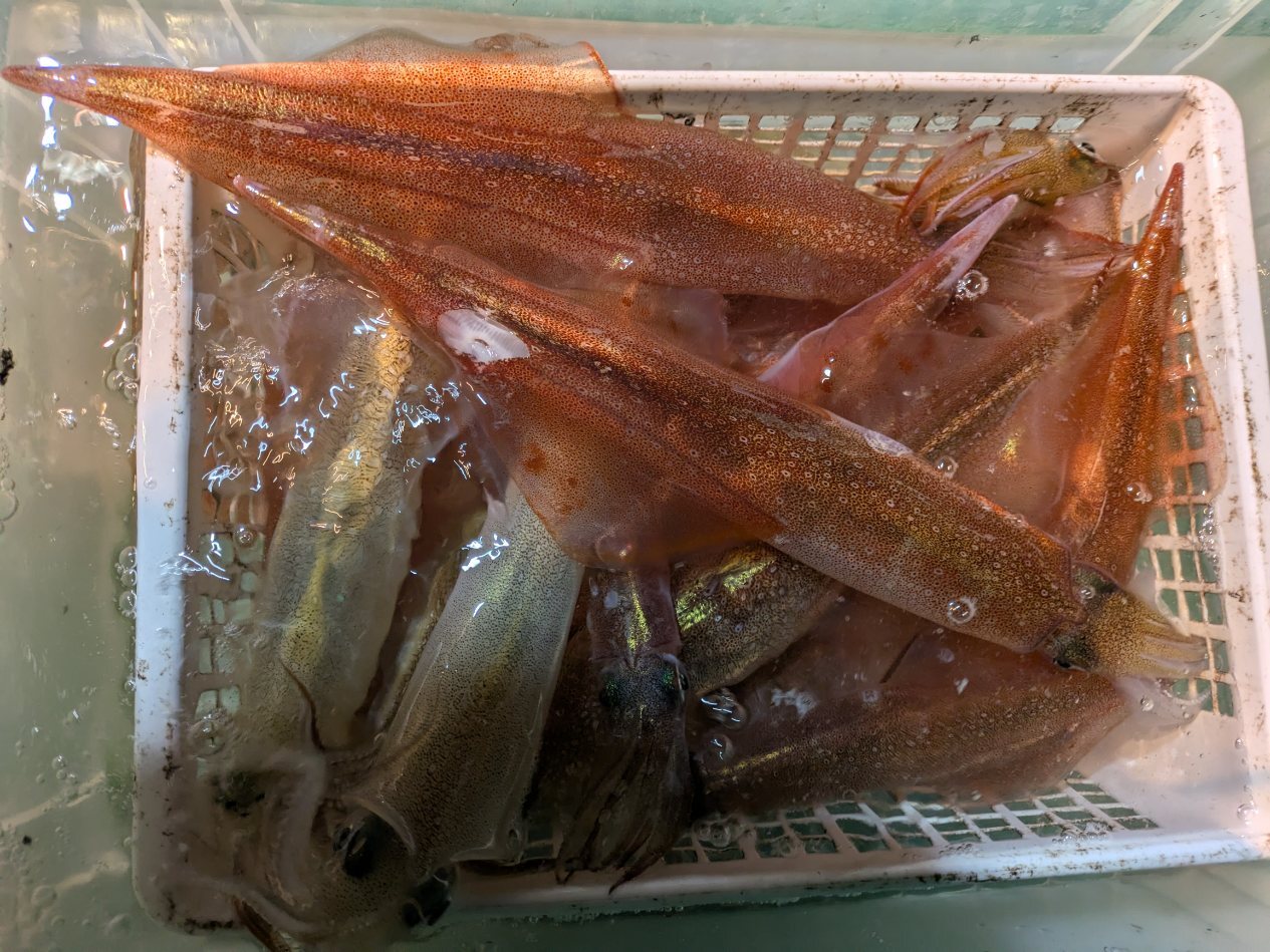 PXL_20250310_140038276