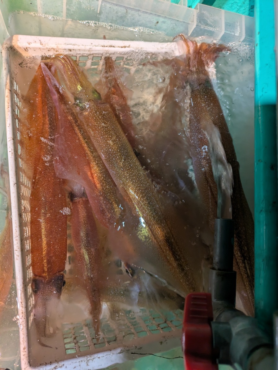 PXL_20250310_114050946.MP