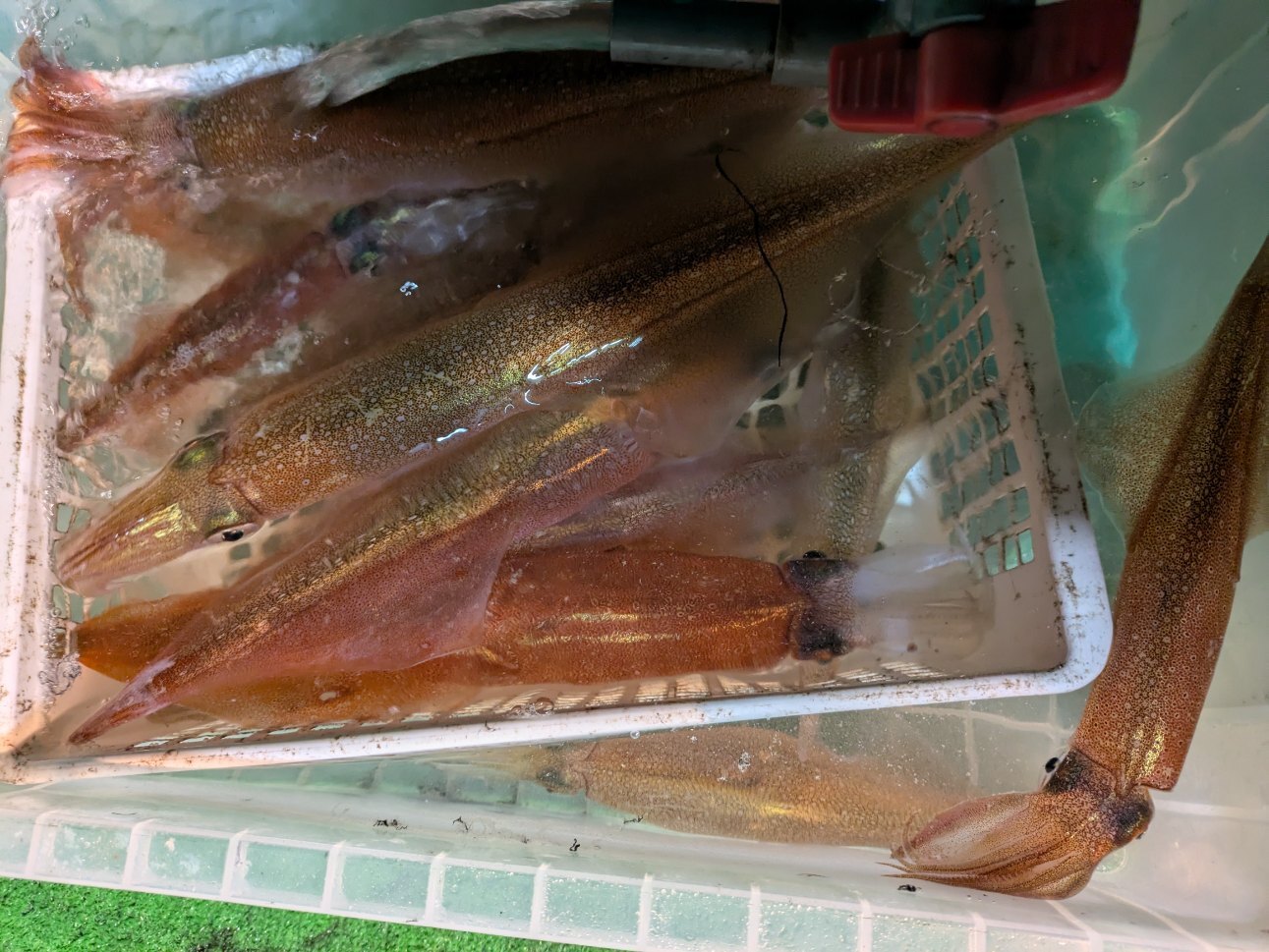 PXL_20250310_114046541