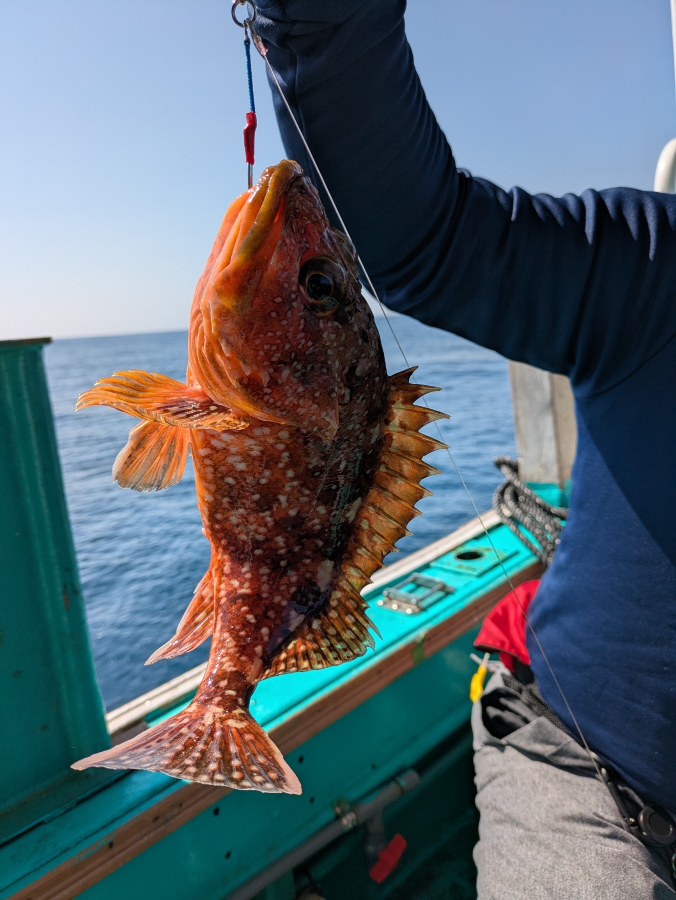 PXL_20250309_042344093