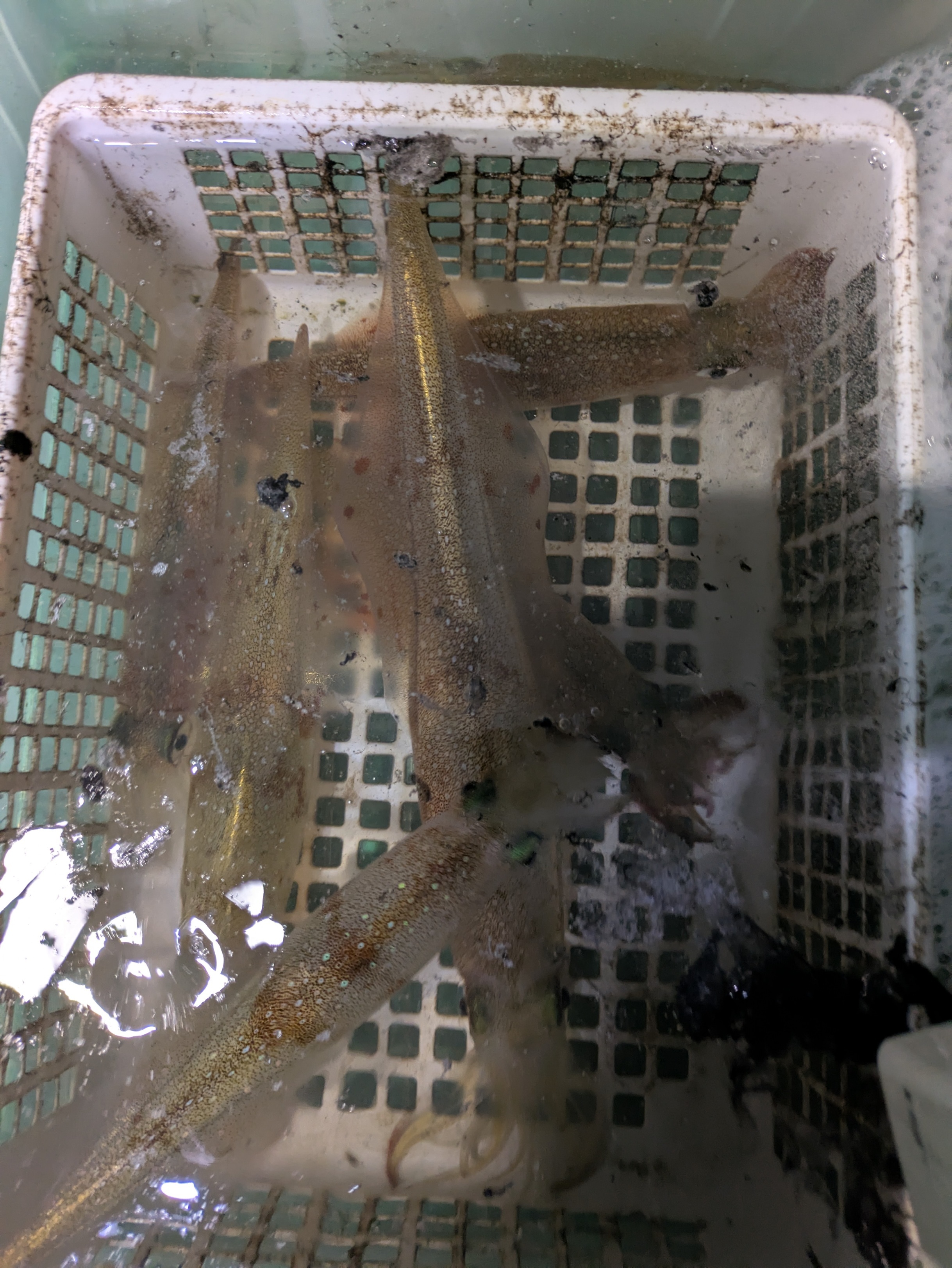 PXL_20250301_101227805.MP