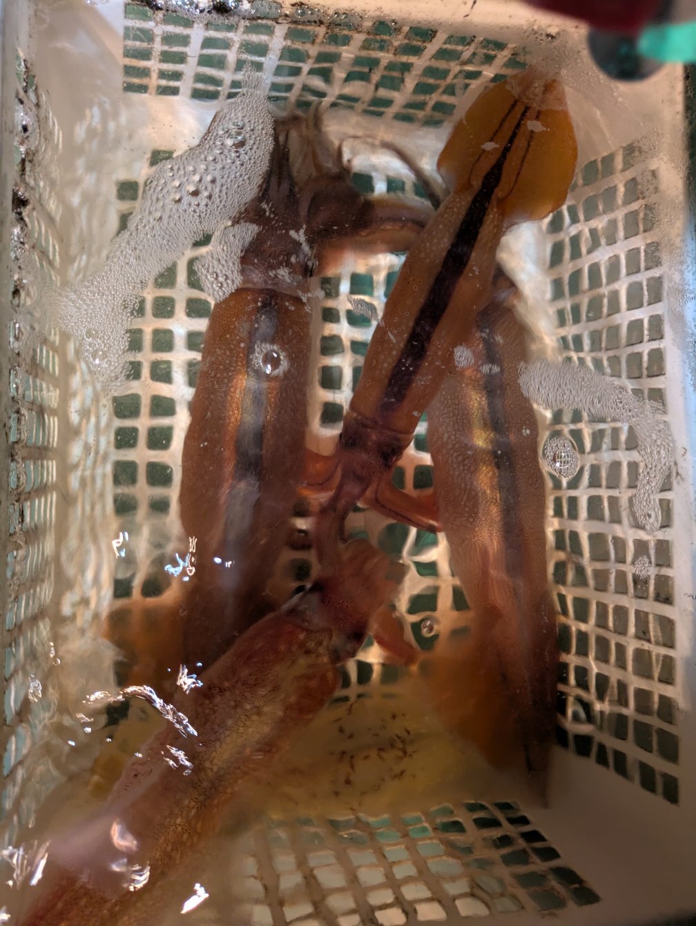 PXL_20250427_135424172