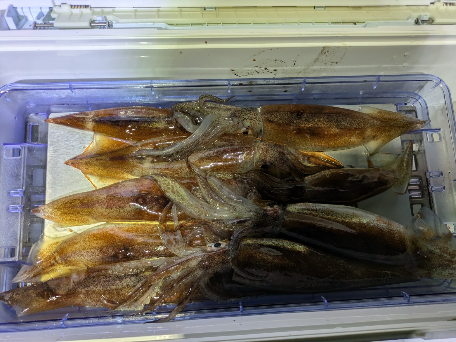 PXL_20250430_131104177