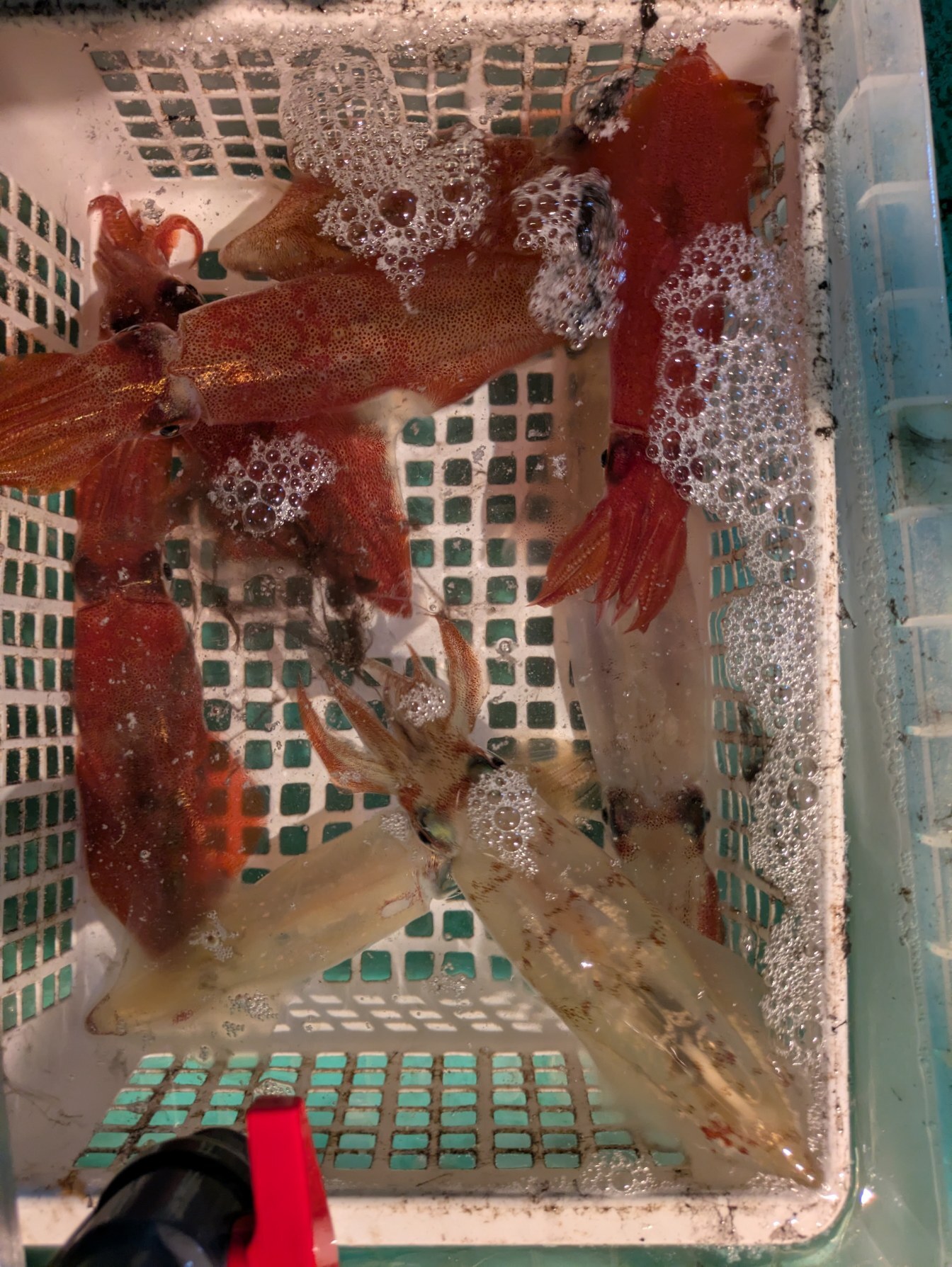 PXL_20250430_131416285