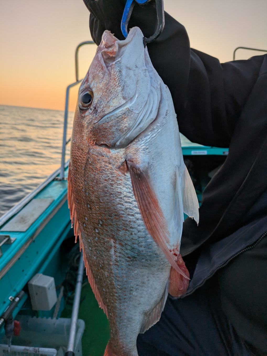 PXL_20250430_093314482