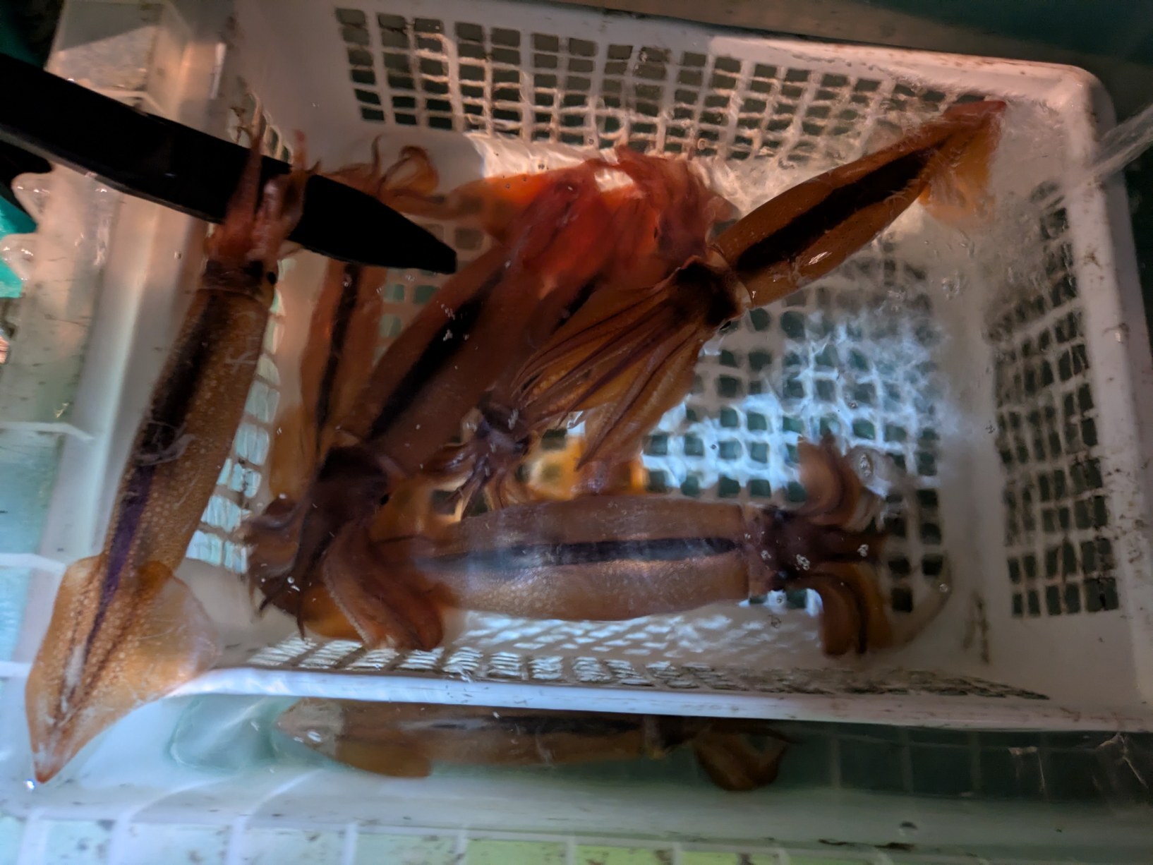 PXL_20250426_120428637