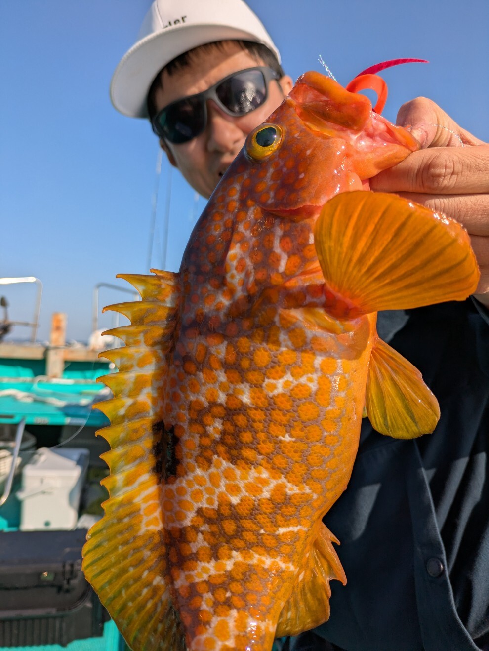 PXL_20250426_073522847