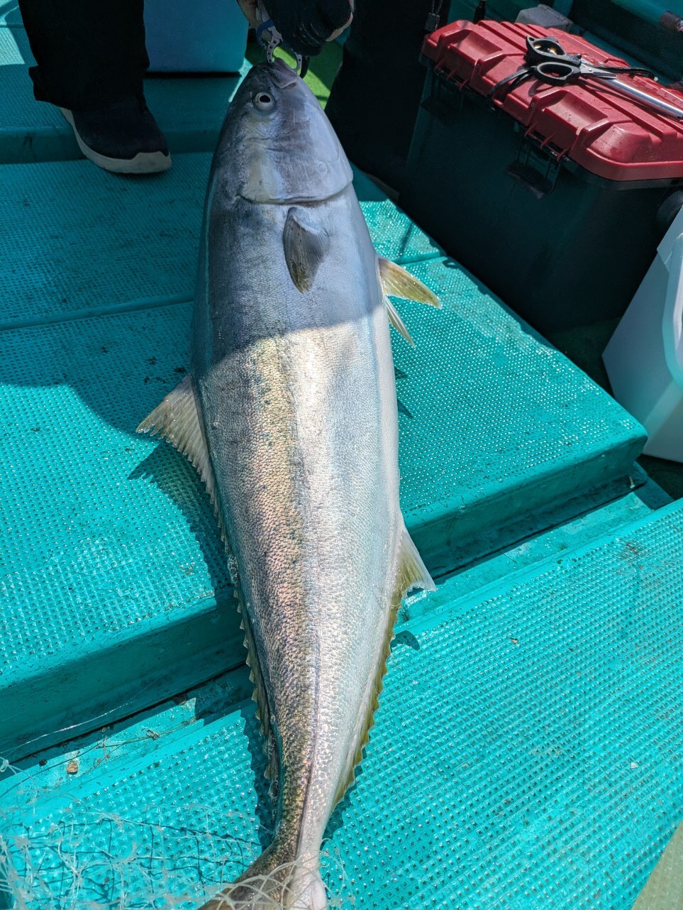 PXL_20250503_011114271