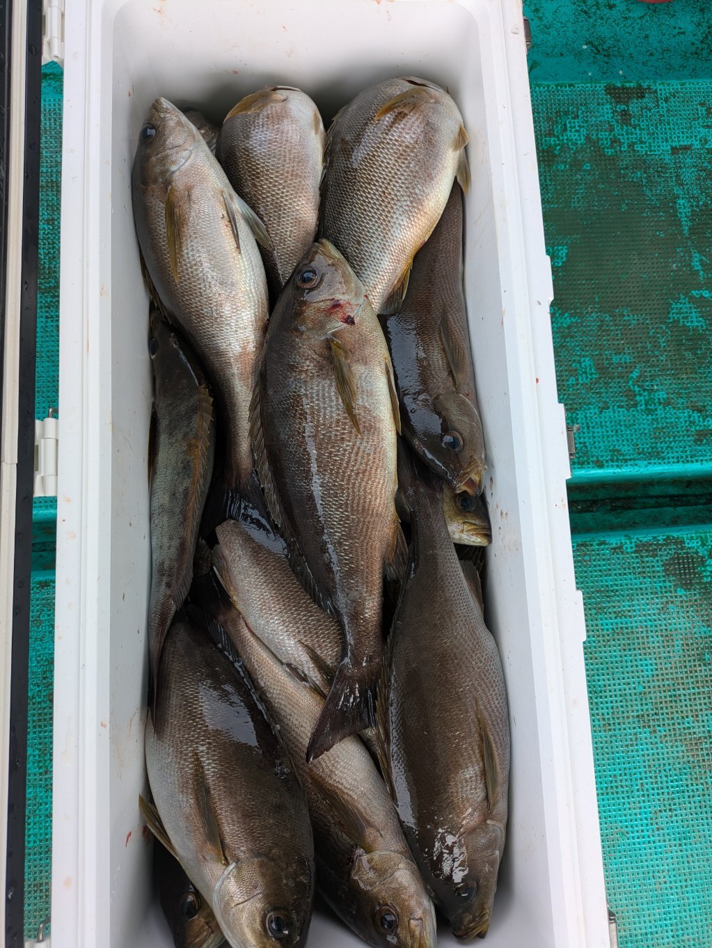 PXL_20250526_051759107