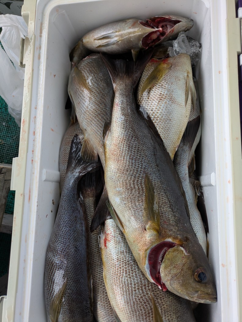 PXL_20250529_005229642