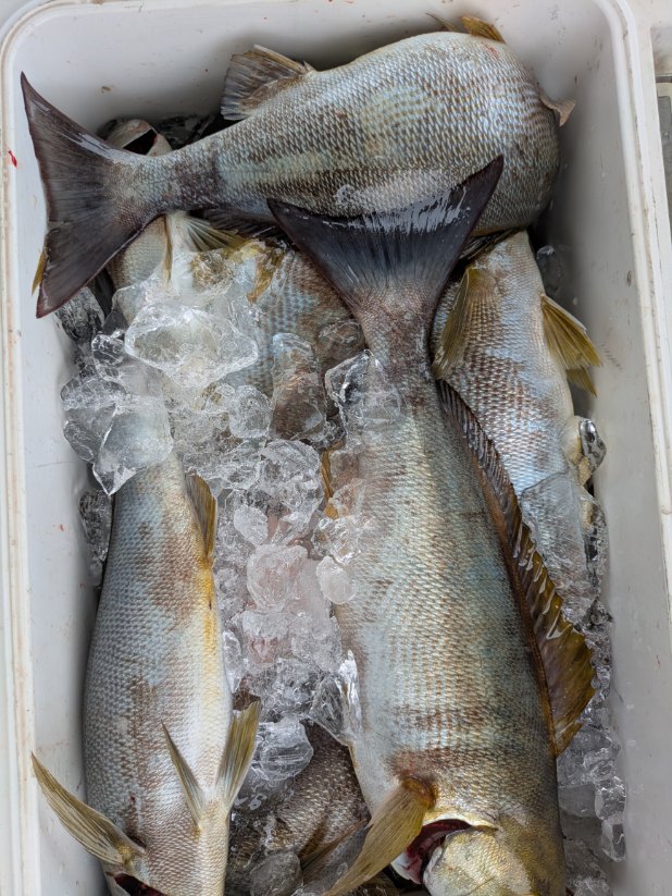 PXL_20250529_005323168