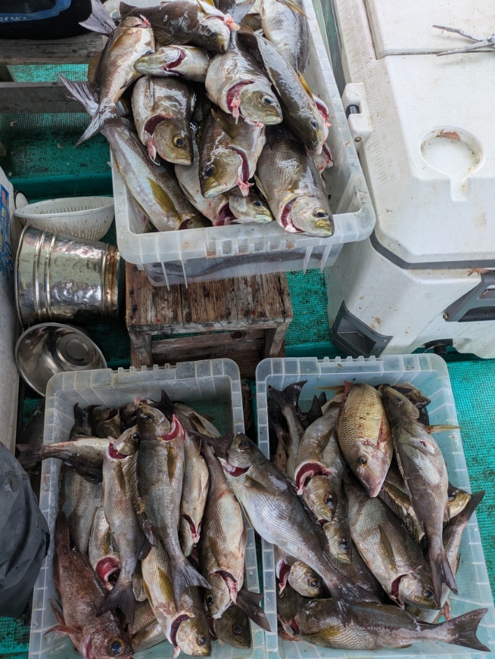 PXL_20250528_035018495.MP