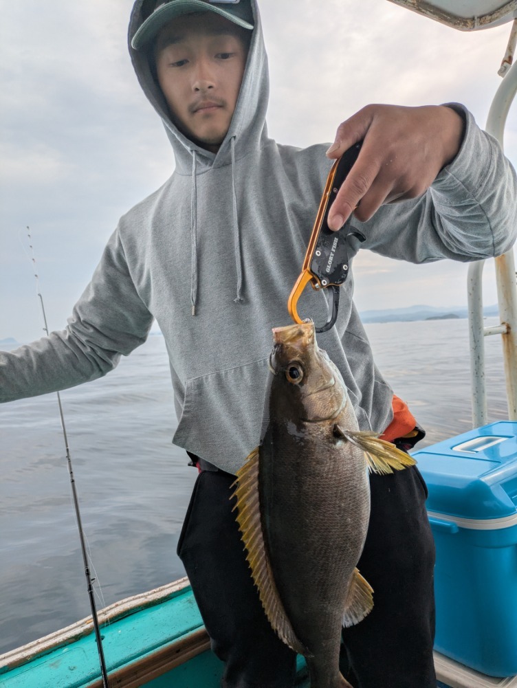 PXL_20250608_000252369