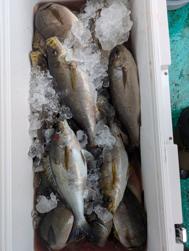 PXL_20250609_024649919.MP