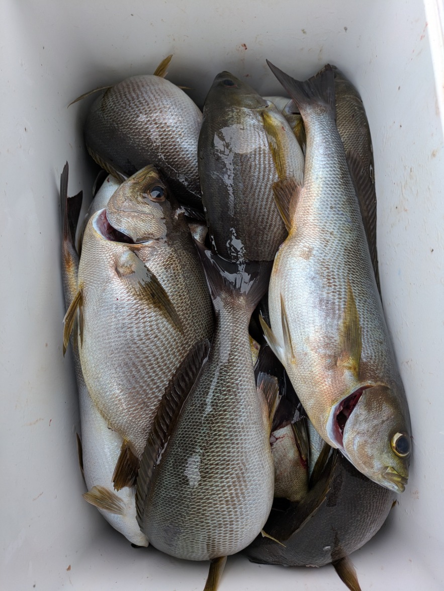 PXL_20250609_024728501