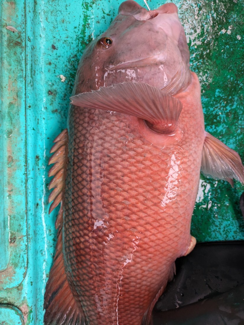 PXL_20250620_235055688