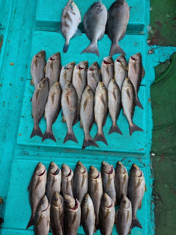 PXL_20250621_070734770.MP