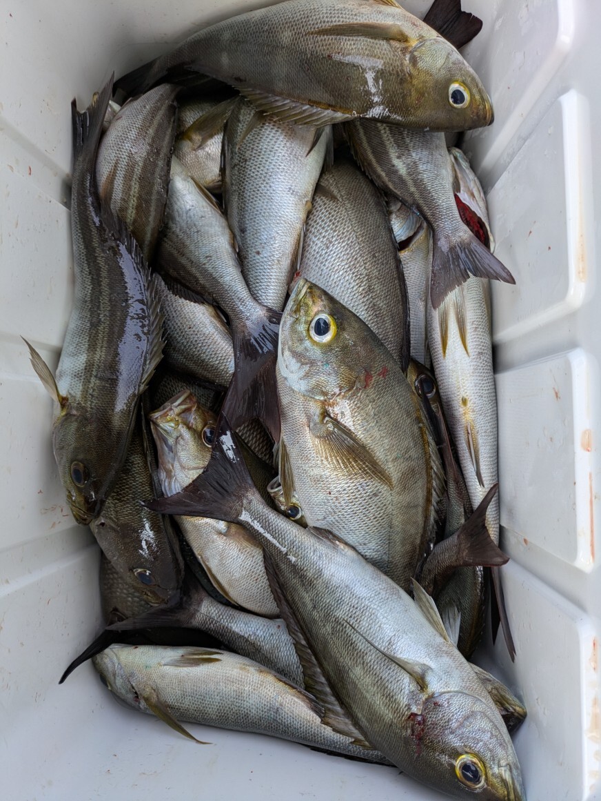 PXL_20250708_012019137