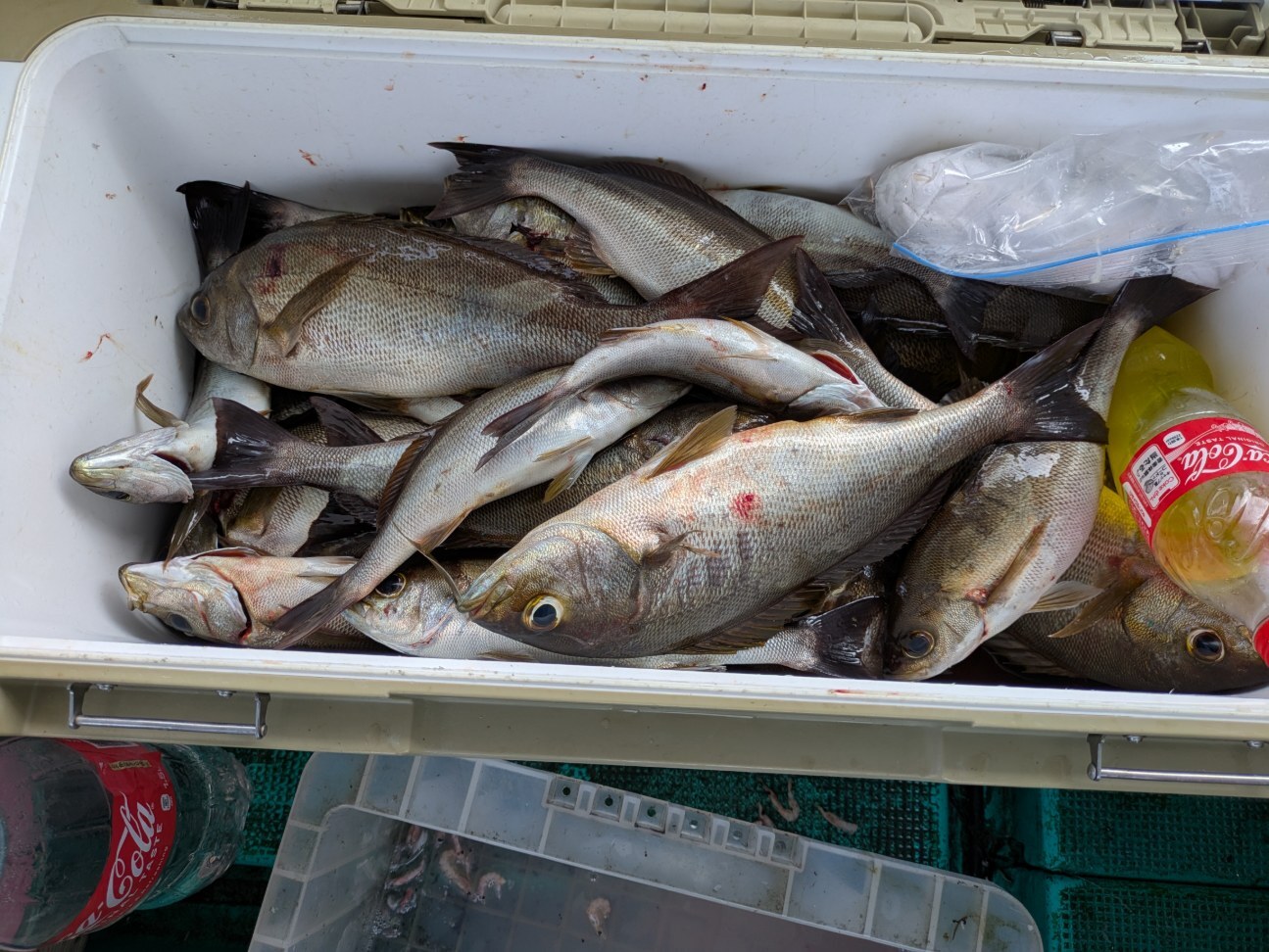 PXL_20250708_012008561