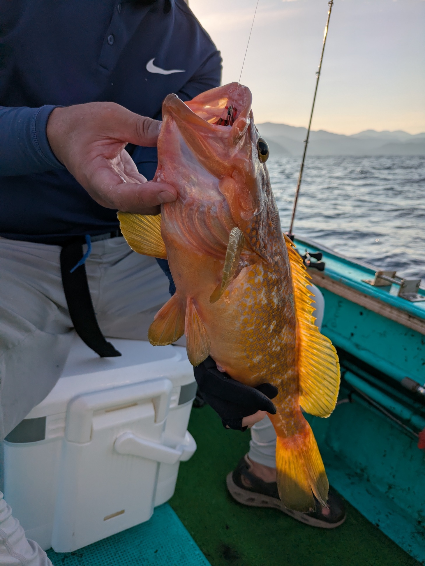 PXL_20250715_214025476