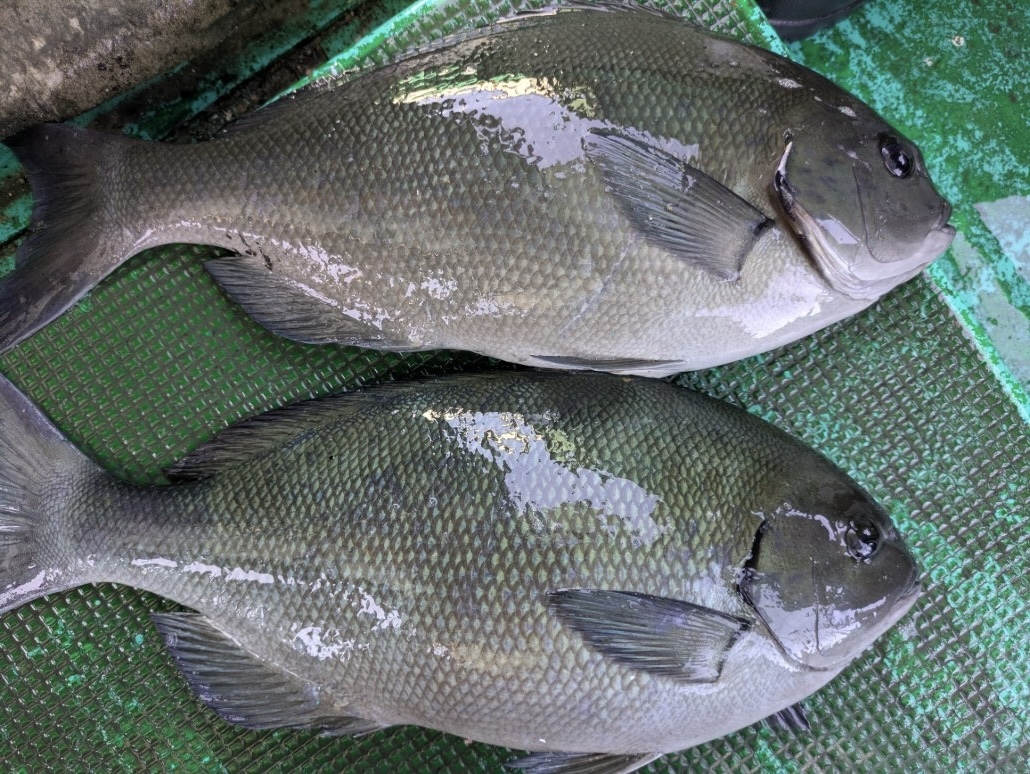 PXL_20250721_012255237