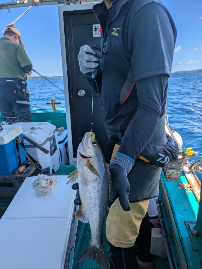 PXL_20250721_032117760.MP