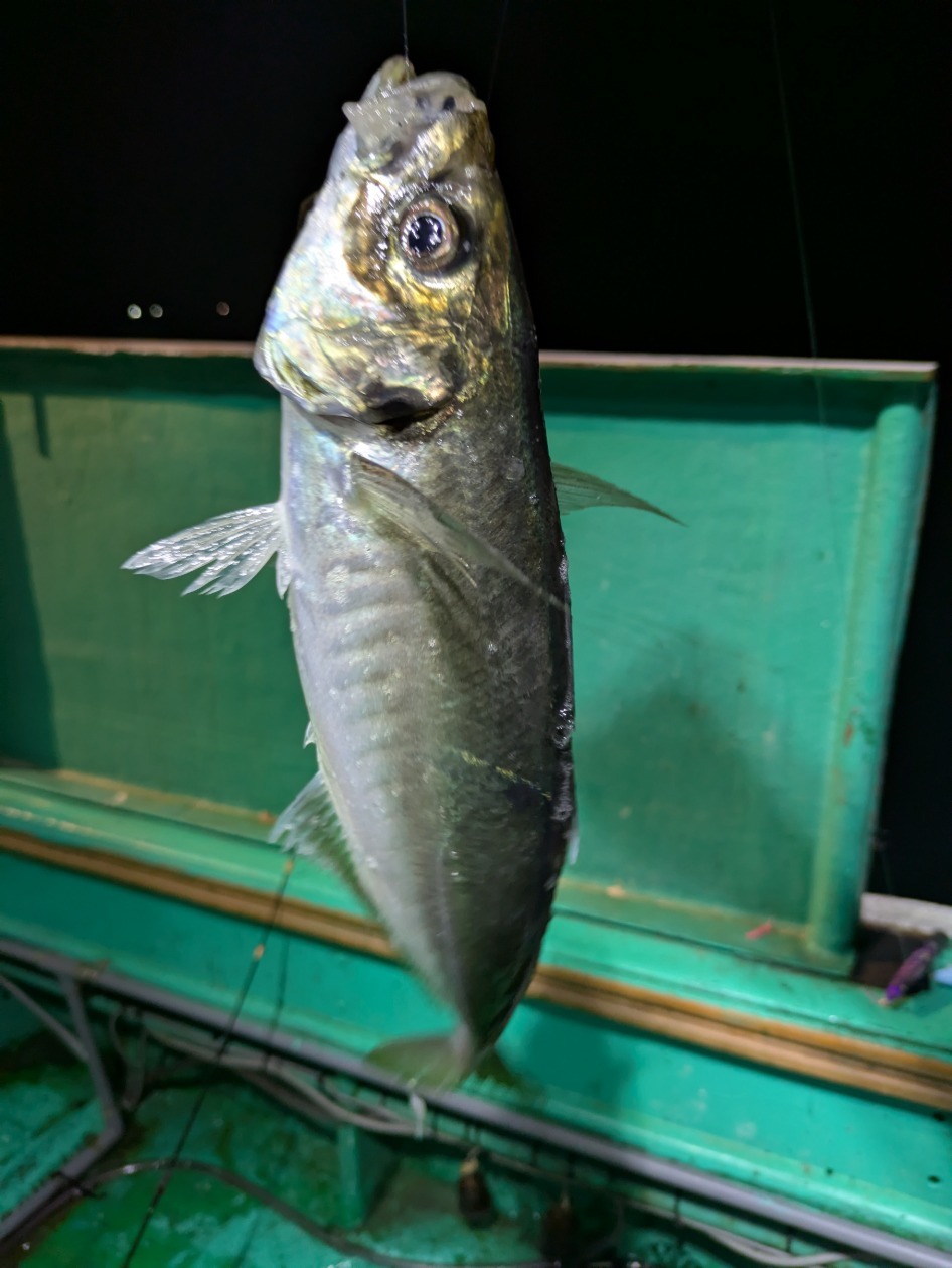 PXL_20250915_103024606