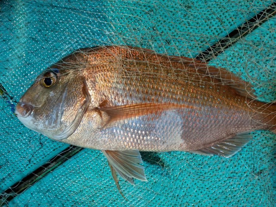 PXL_20250915_105458132.MP