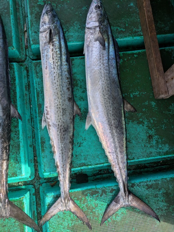 PXL_20251220_043227695