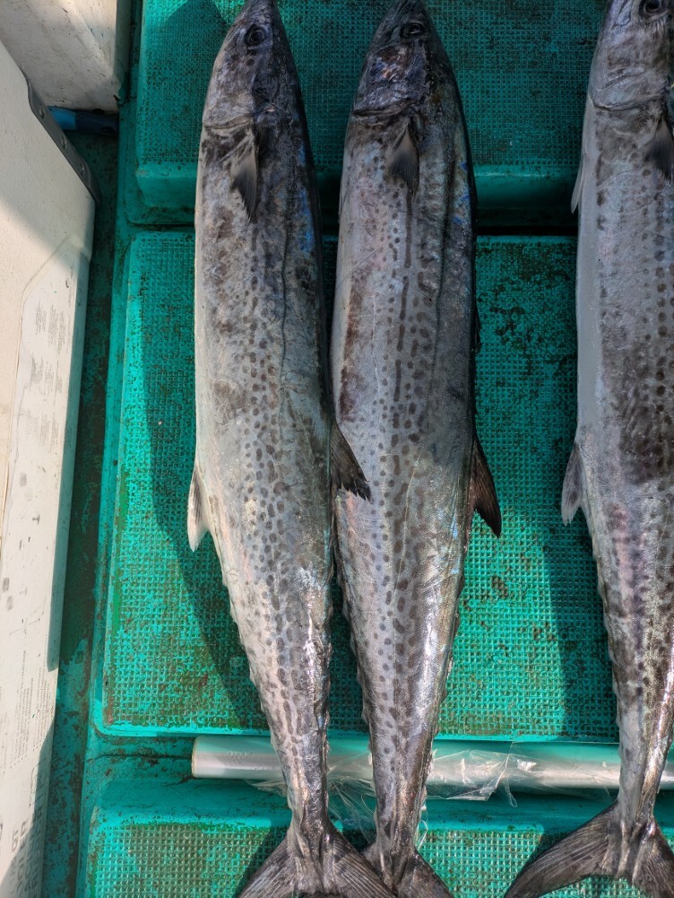 PXL_20251220_043222987