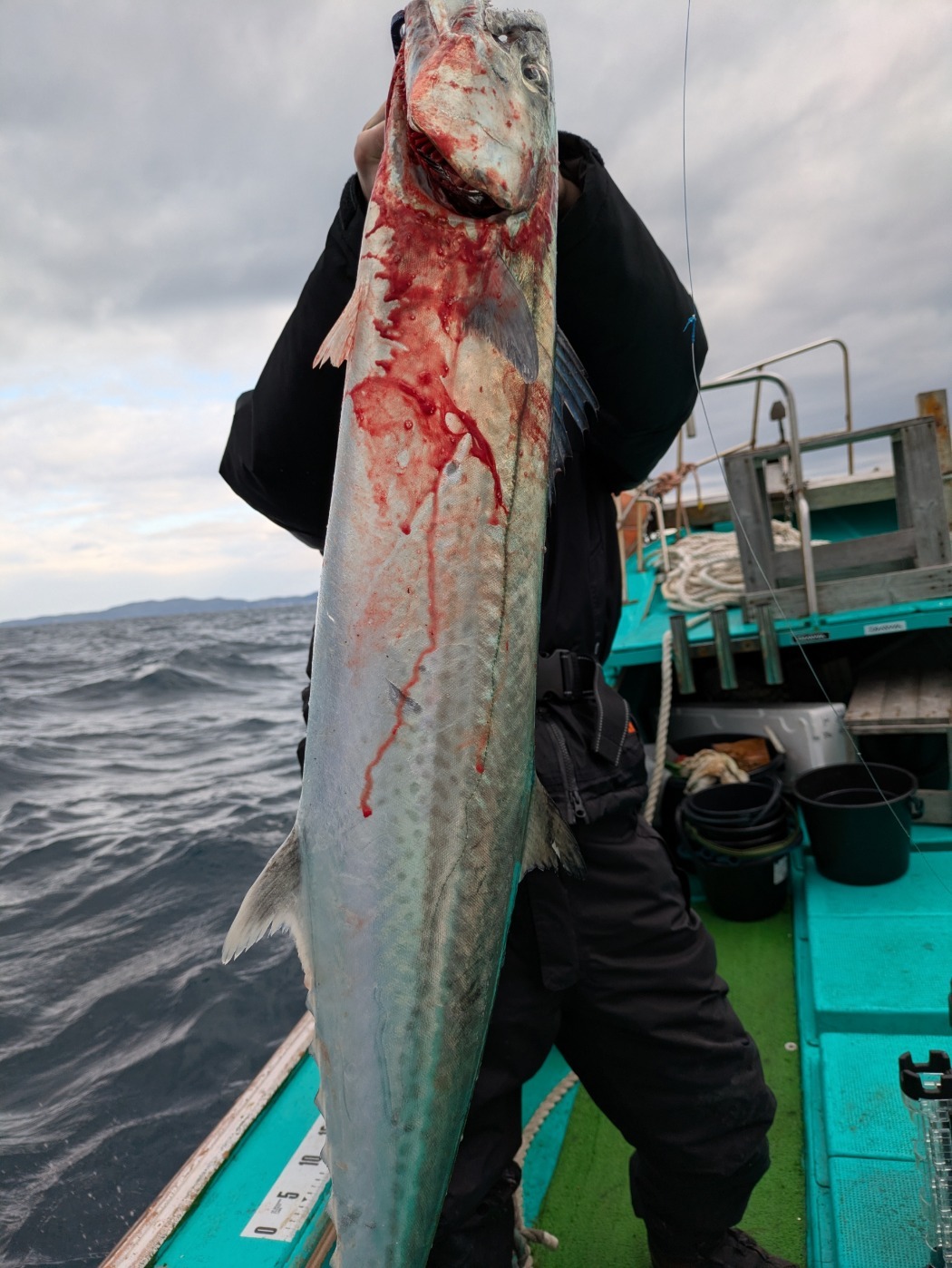 PXL_20251229_010301973