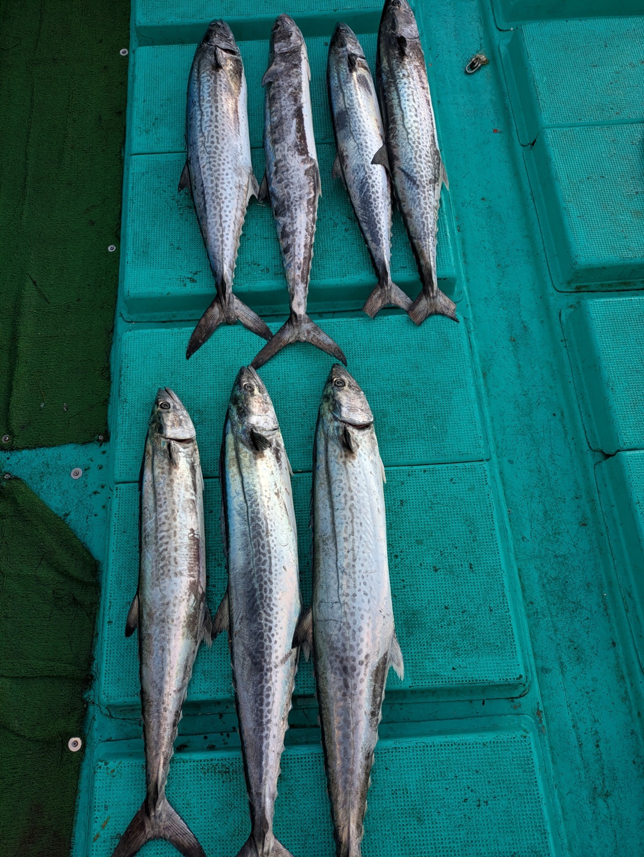 PXL_20251229_053135746